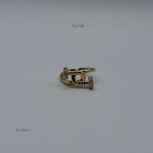 AN781