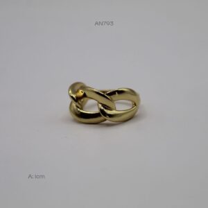 AN793