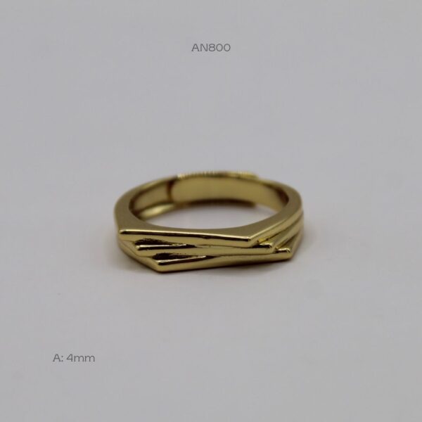 AN800