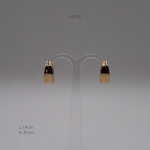 H1972 H1972