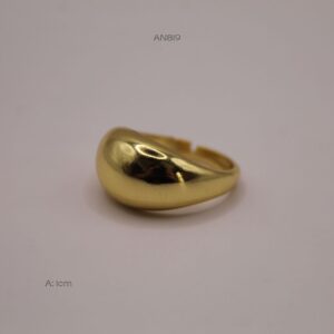 AN819