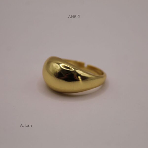 AN819