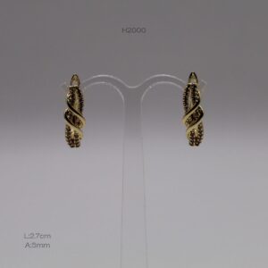H2000 H2000