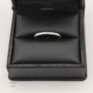 PAN251-6
