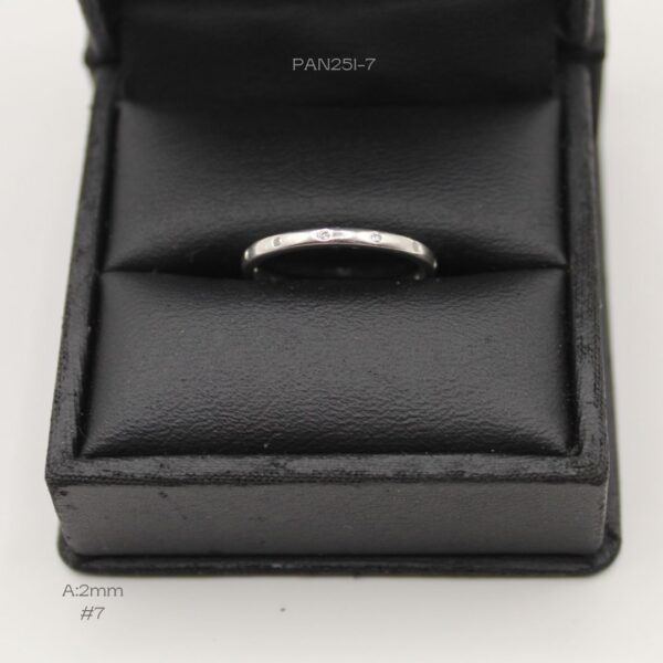PAN251-7