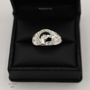 PAN267-10 PAN267-10