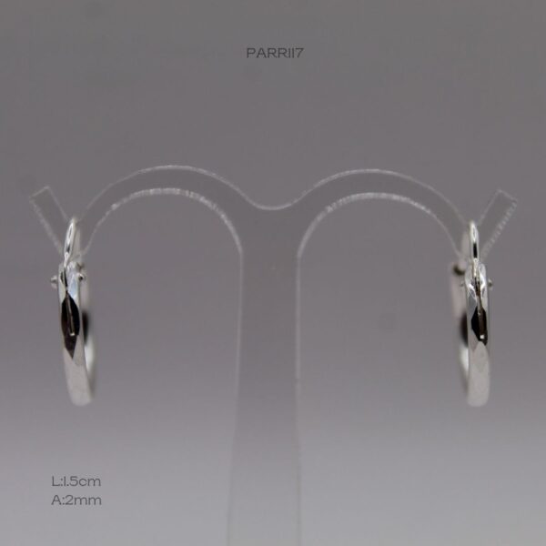 PARR117