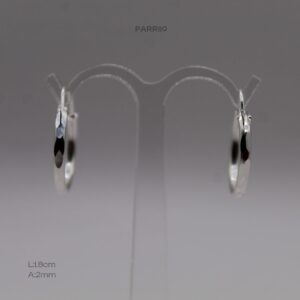 PARR119