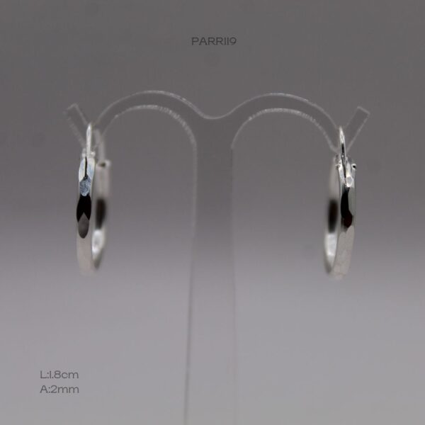 PARR119