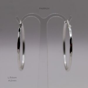 PARR124