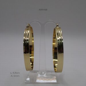 ARR481
