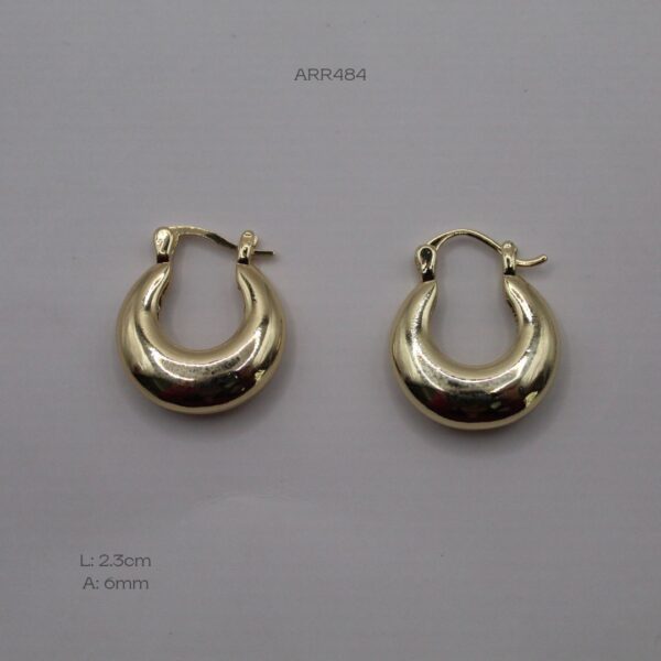 ARR484