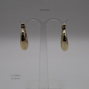 ARR484
