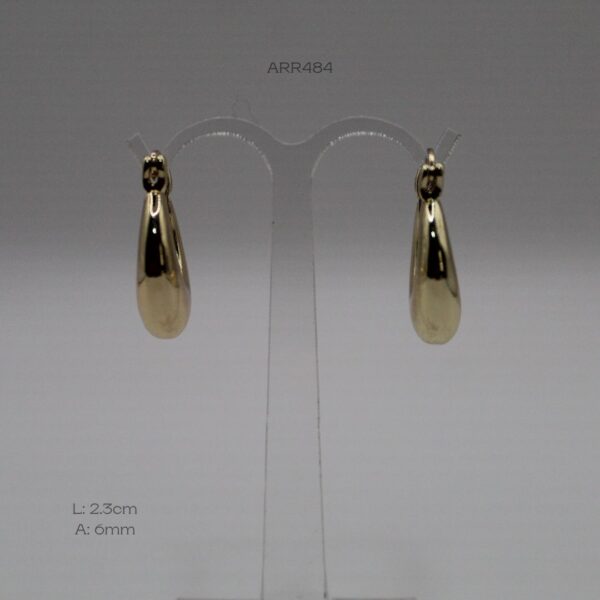 ARR484