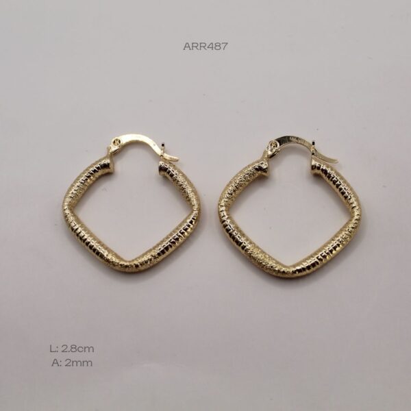 ARR487