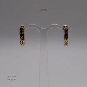 H2005