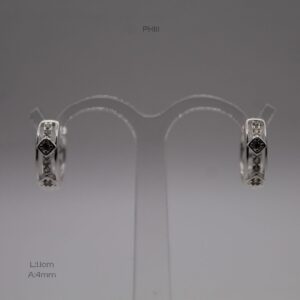PH111