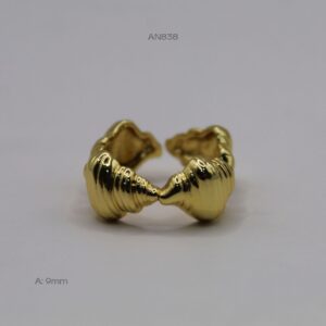 AN838