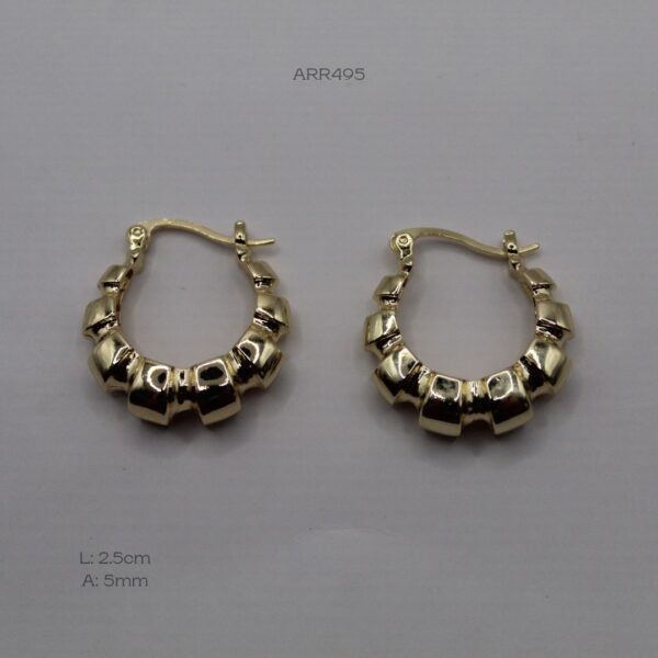 ARR495
