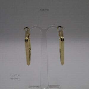 ARR496