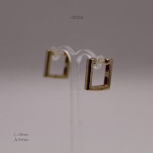 H2053