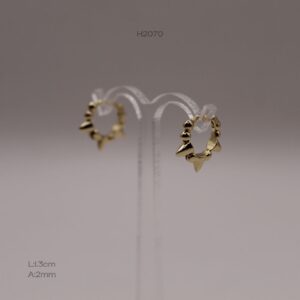 H2070