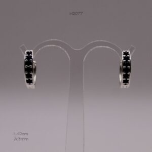 H2077