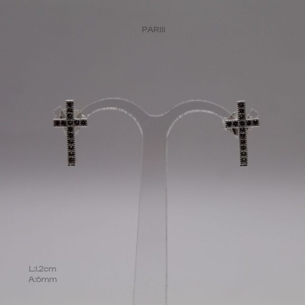 PAR111