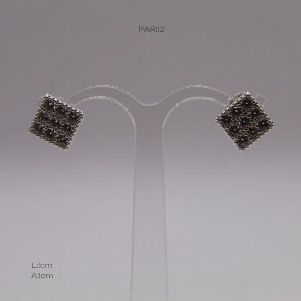 PAR112