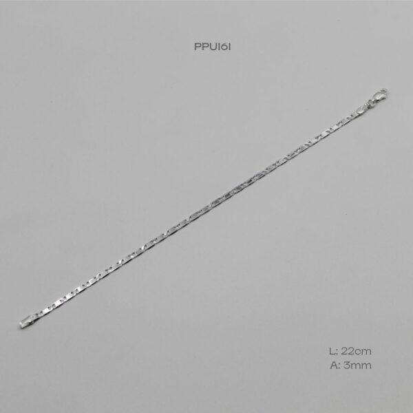 PPU161